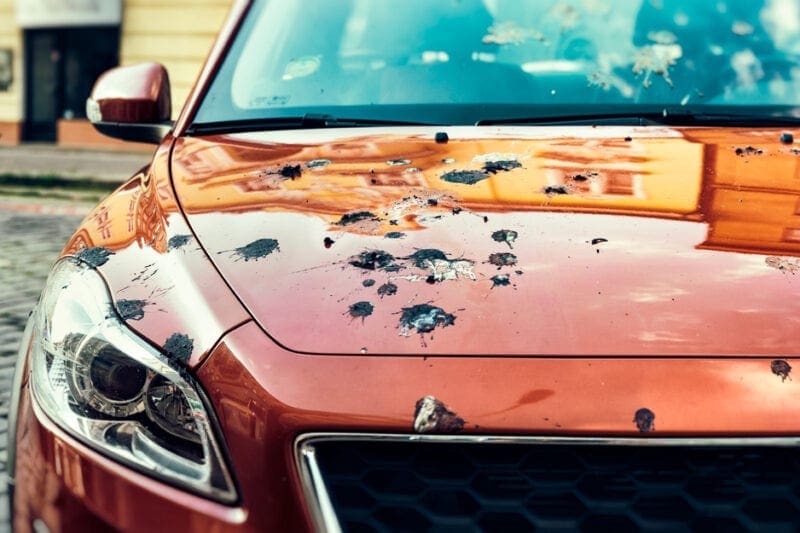 Bird Poop Ruins Car Paint